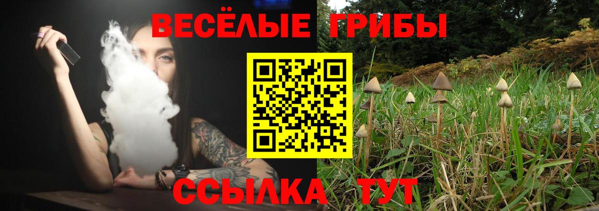 Псилоцибиновые грибы GOLDEN TEACHER  Вход с VPN  Галлюциногенные грибы ЛСД  Черногорск 