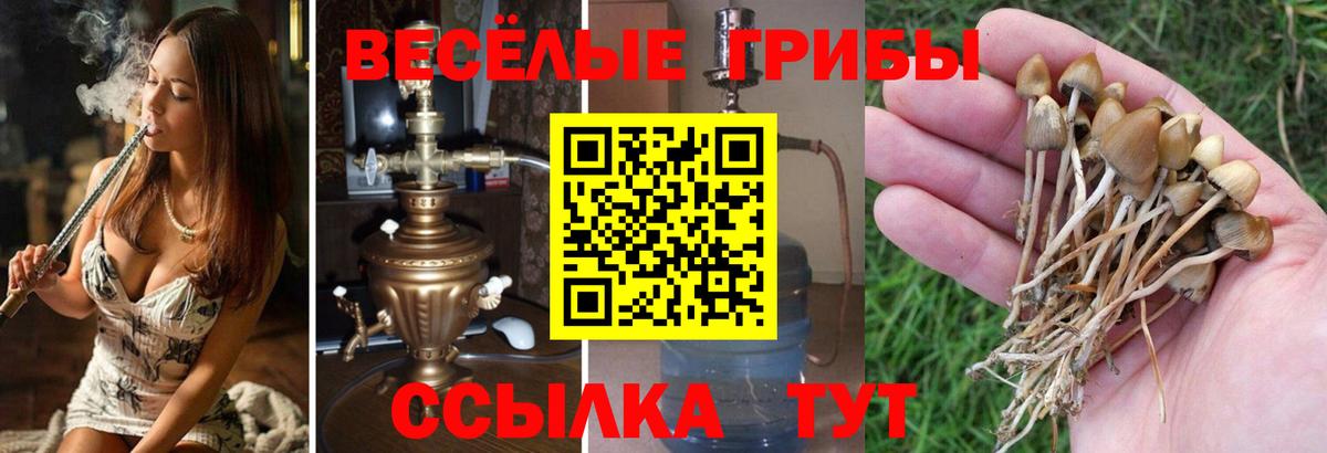 Псилоцибиновые грибы мухоморы Черногорск